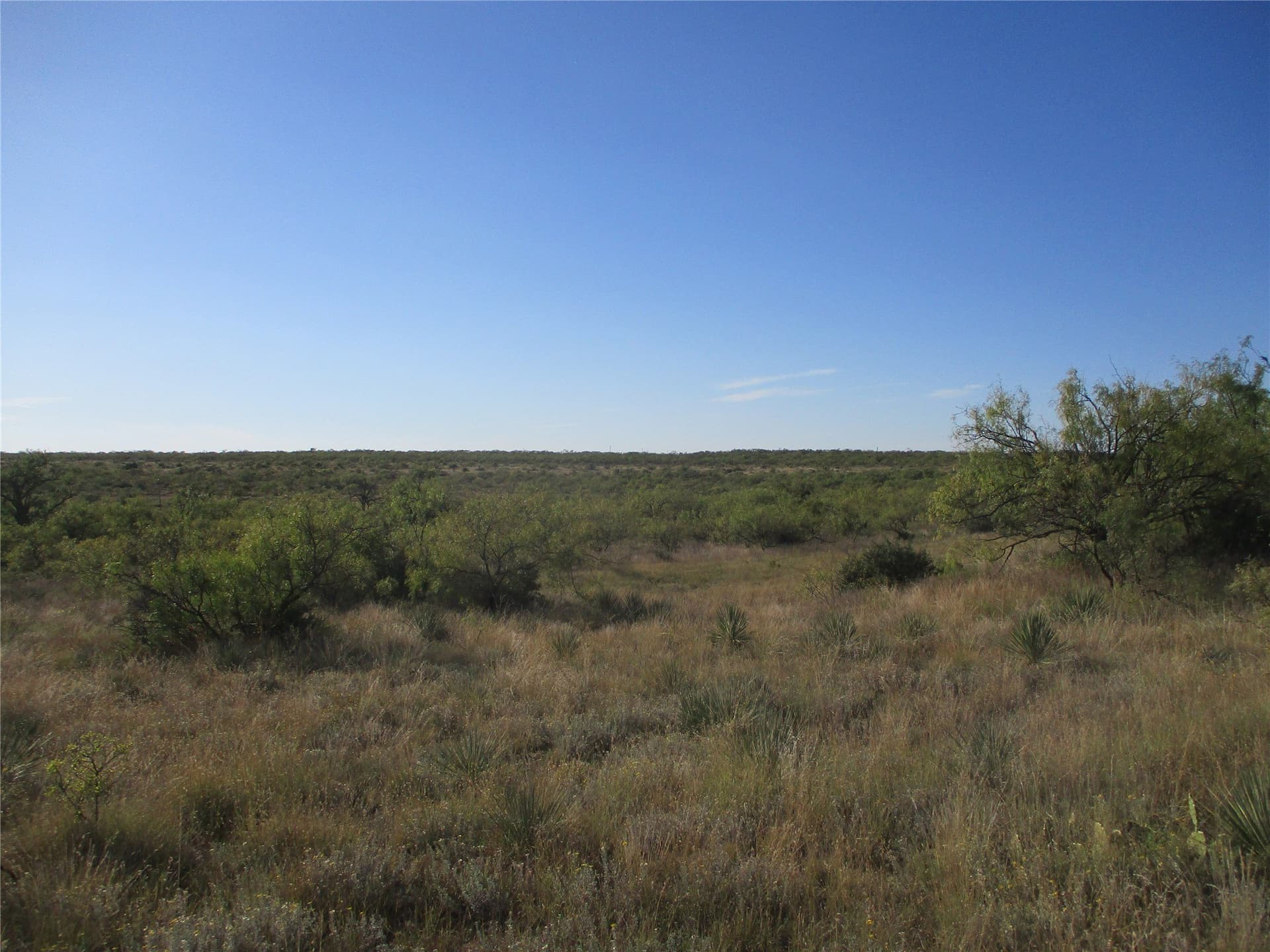 722.23 acres in Runnels County - photo 11