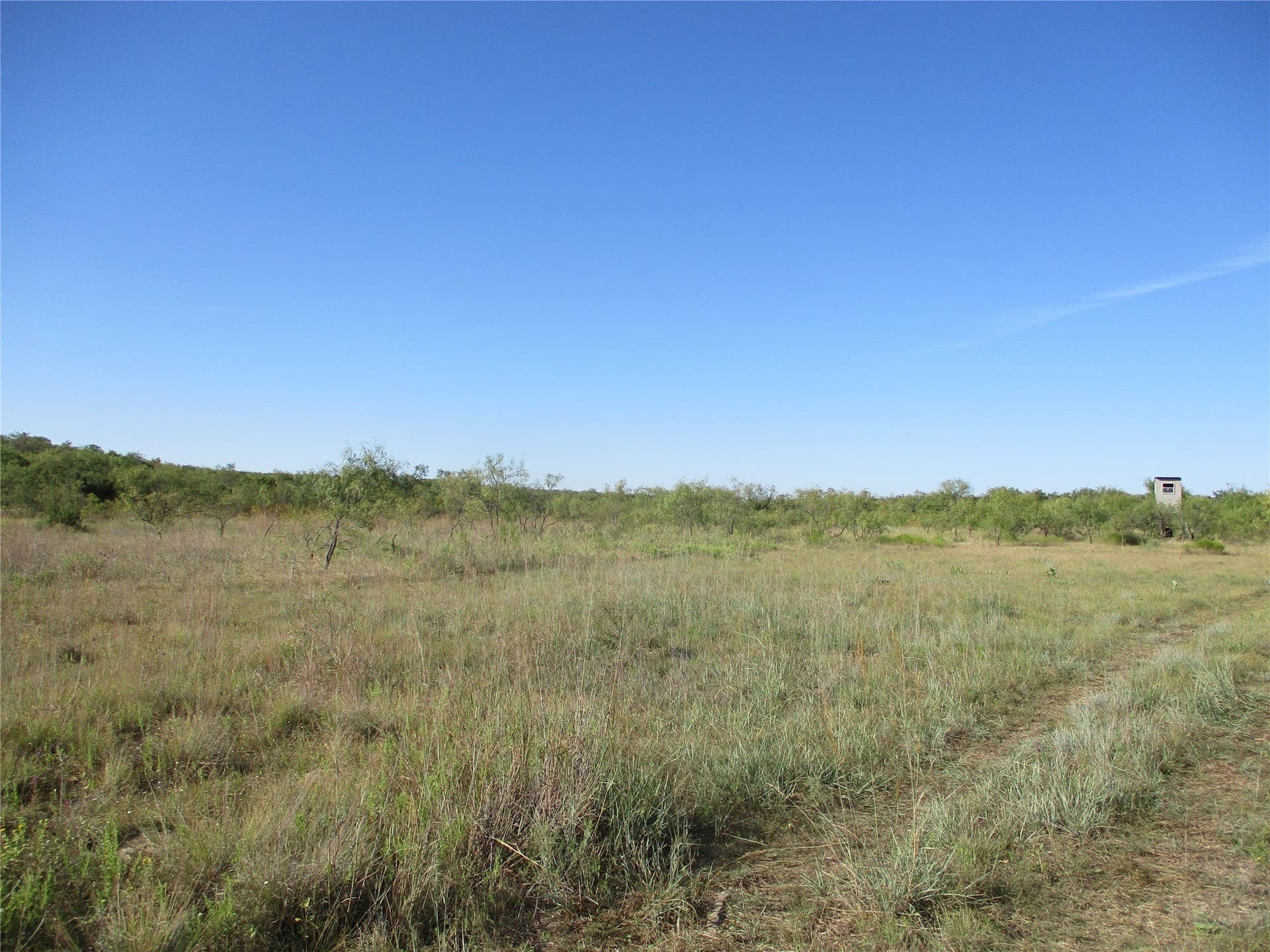 722.23 acres in Runnels County - photo 7