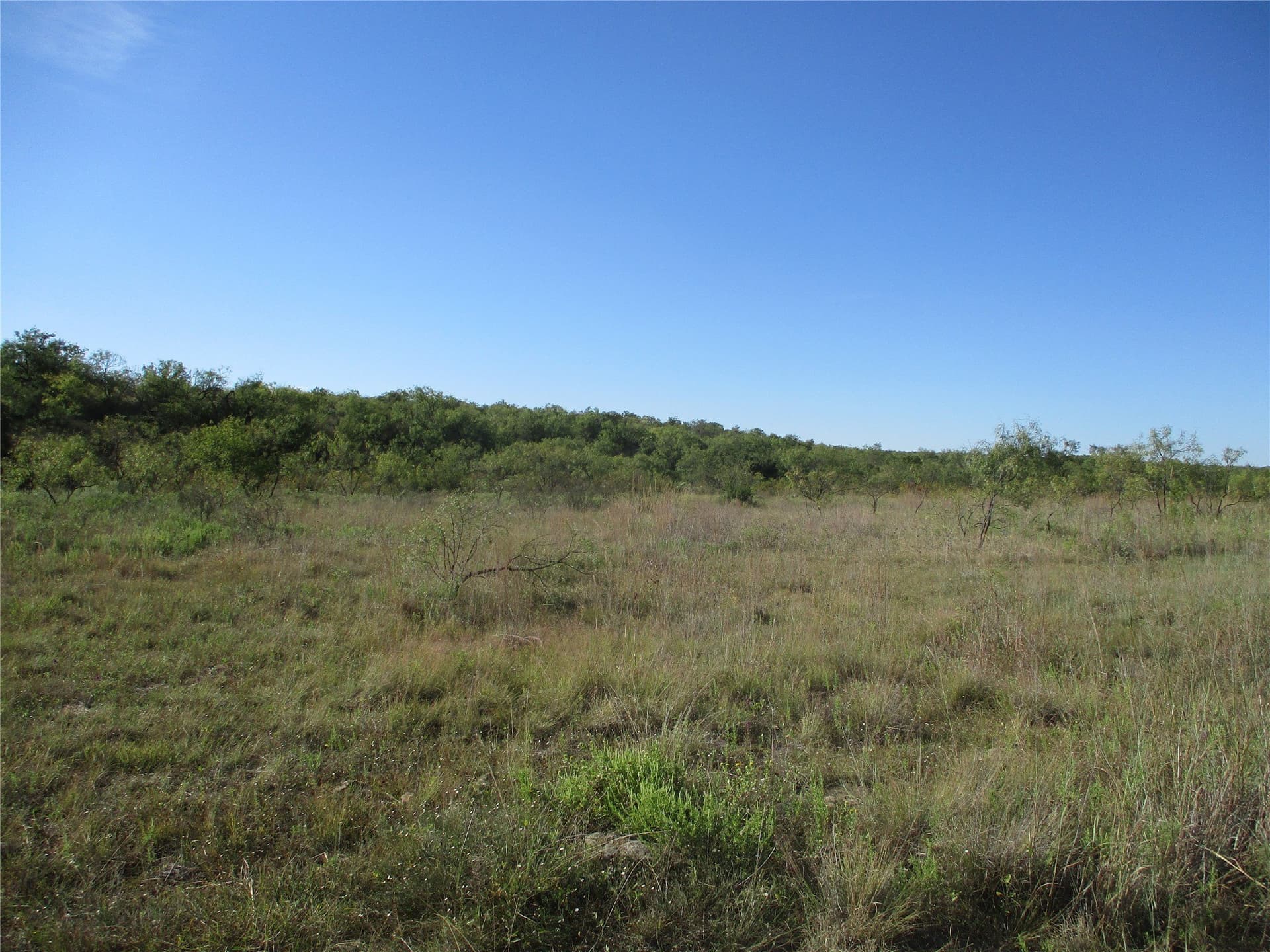 722.23 acres in Runnels County - photo 8