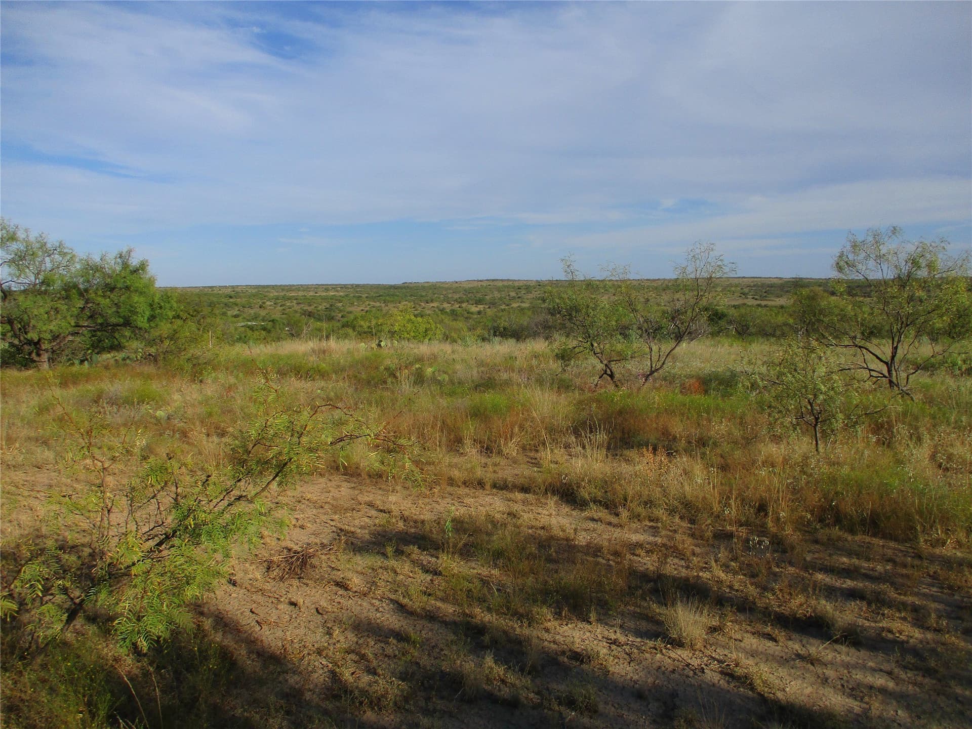 722.23 acres in Runnels County - photo 10