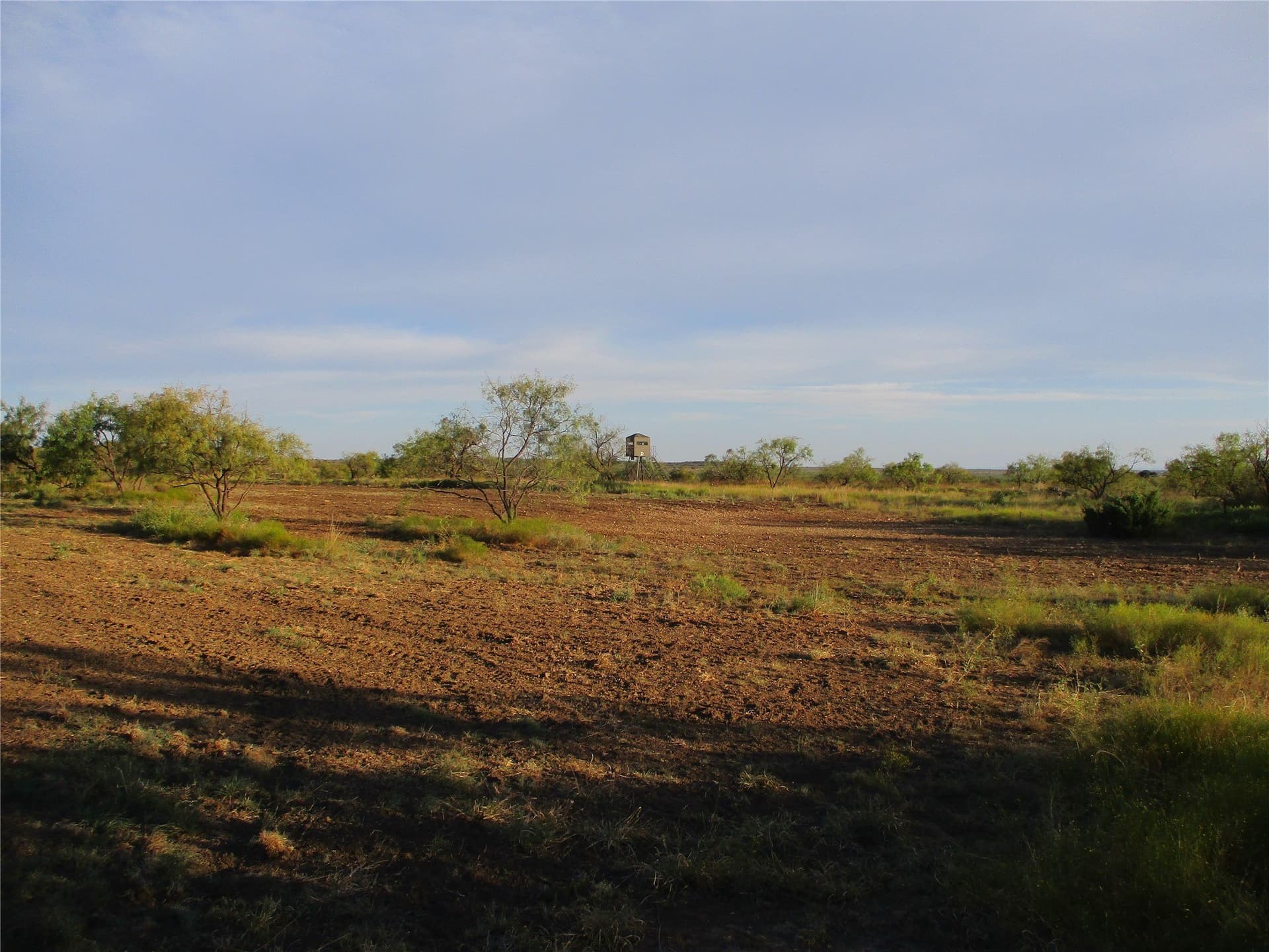 722.23 acres in Runnels County - photo 13
