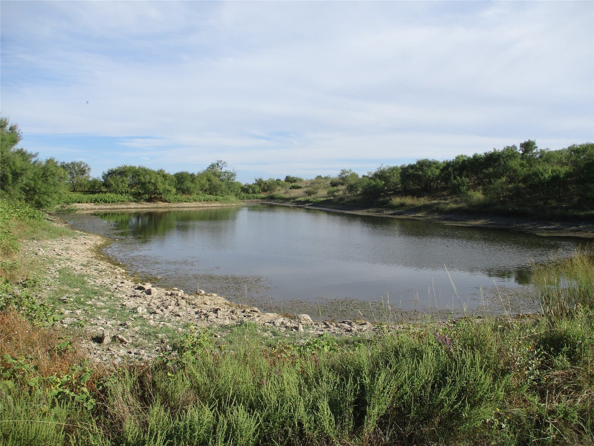 722.23 acres in Runnels County gallery image 2