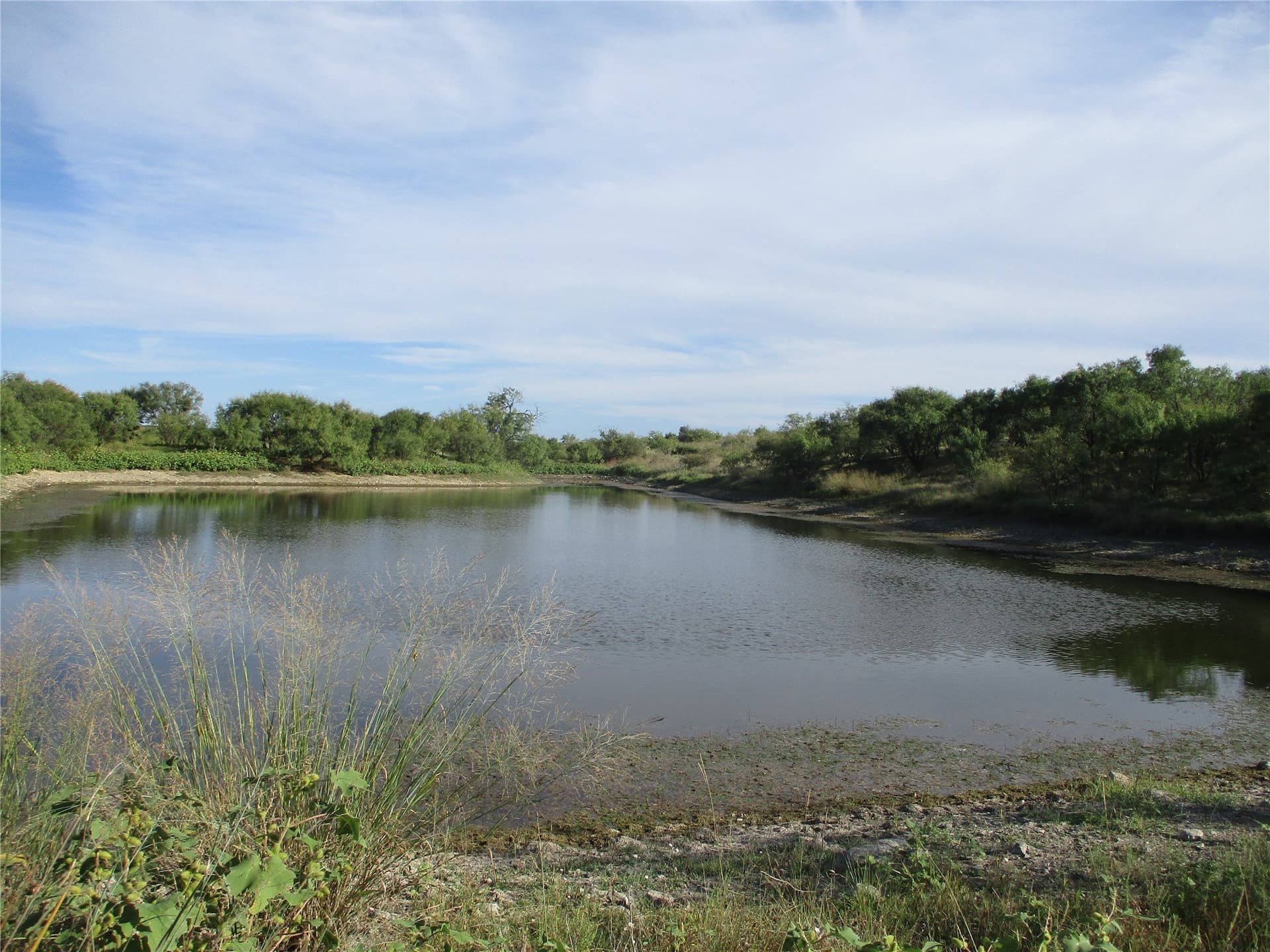 722.23 acres in Runnels County