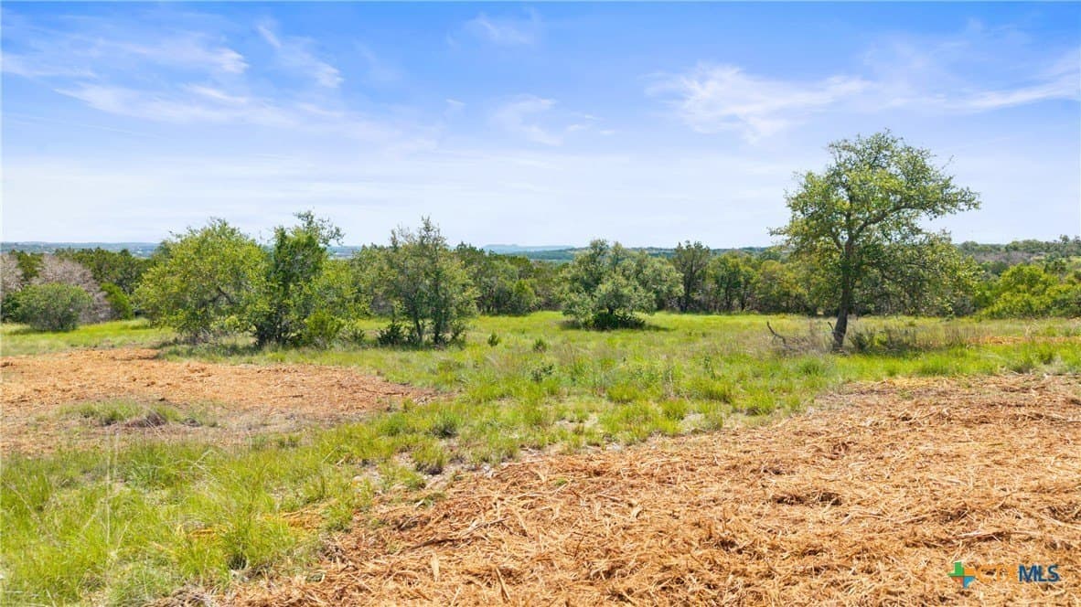 3.03 acres in Comal County gallery image 4