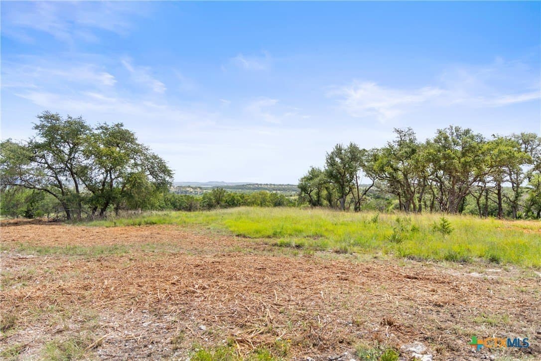 3.03 acres in Comal County gallery image 3