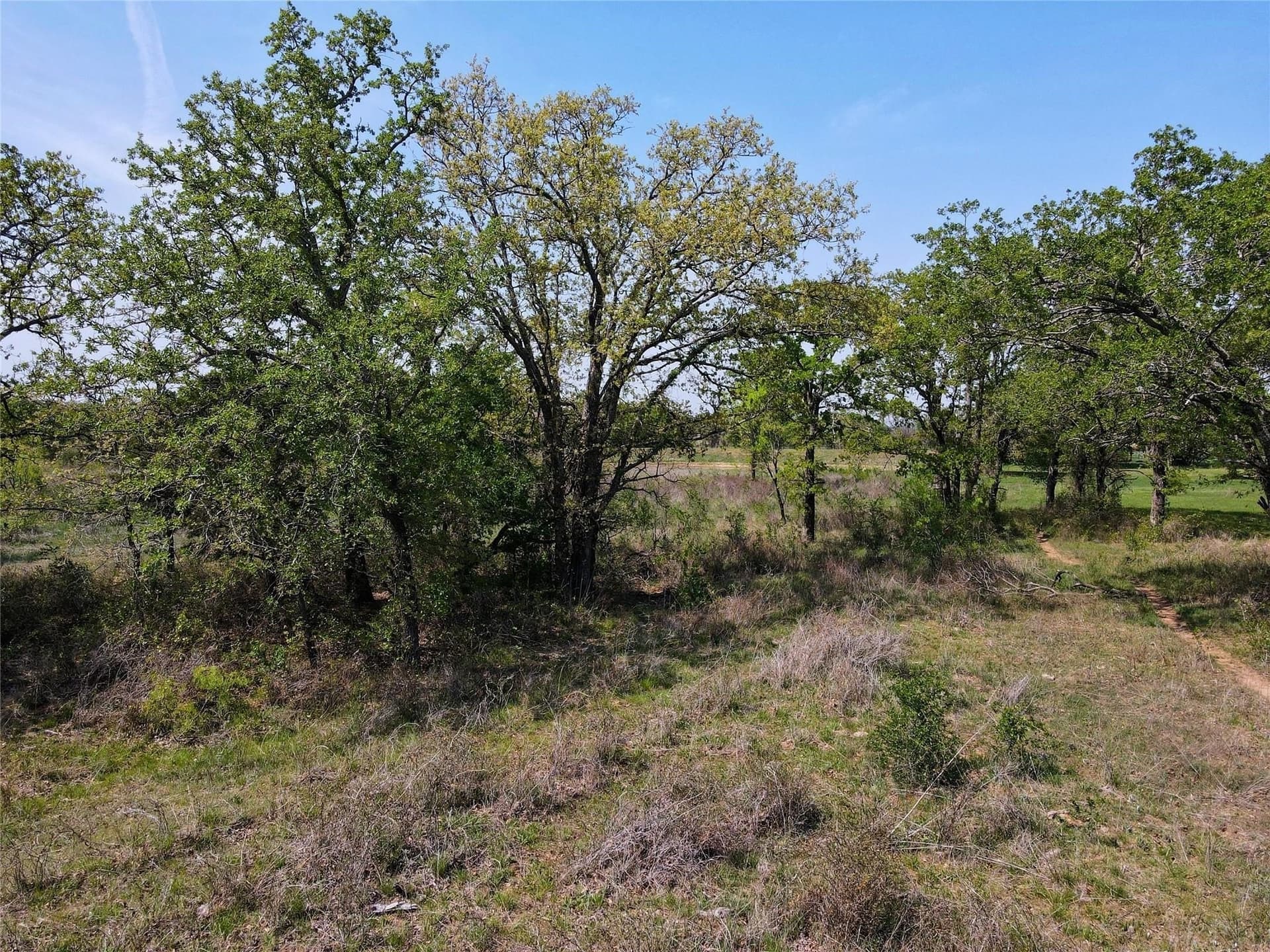 5.39 acres in Palo Pinto County gallery image 4