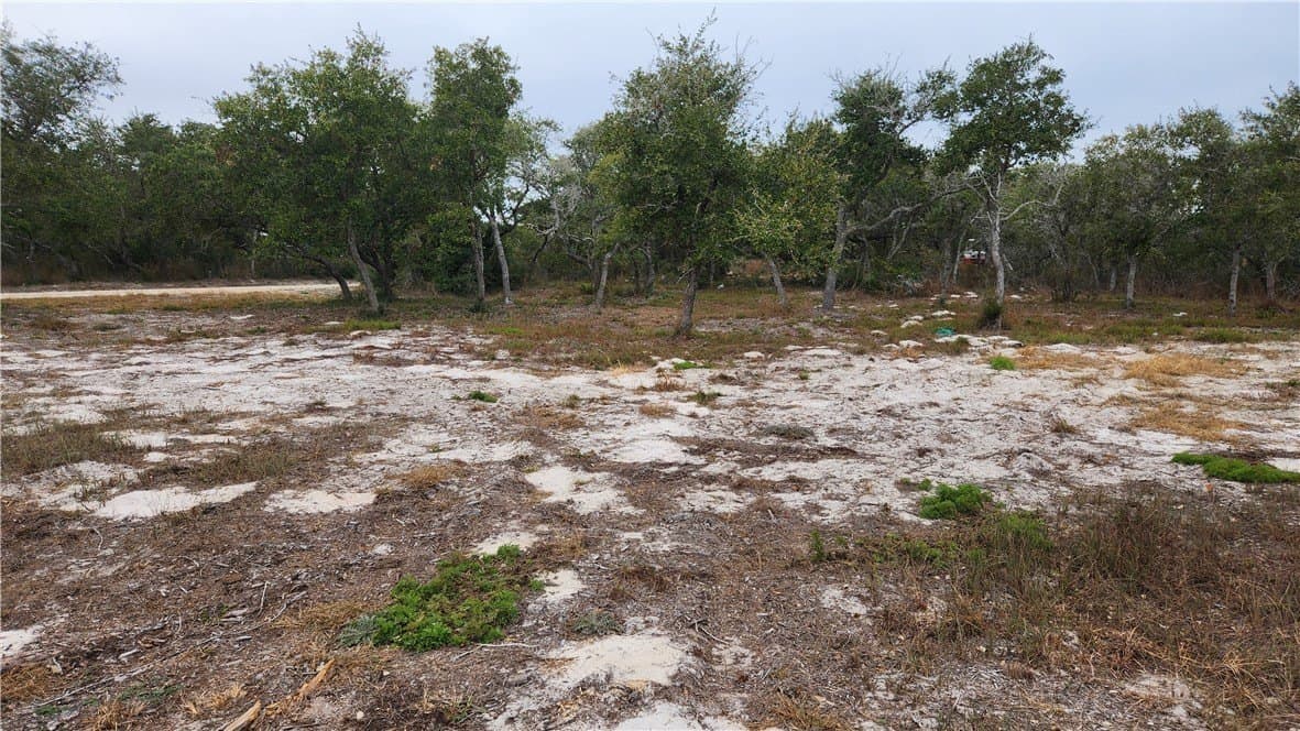 0.5 acres in Aransas County gallery image 2