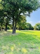 0.52 acres in Hill County - photo 3