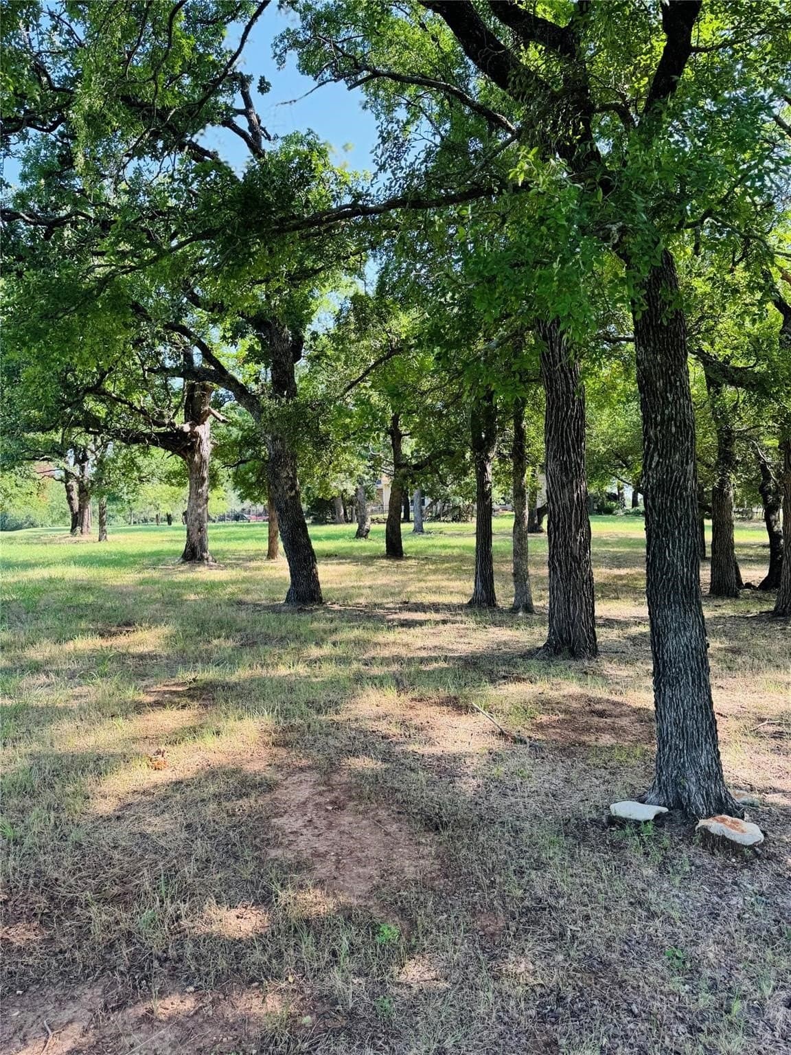 0.52 acres in Hill County - photo 2