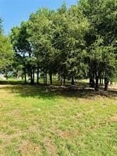 0.52 acres in Hill County - photo 9