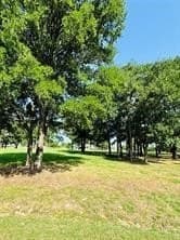 0.52 acres in Hill County - photo 6
