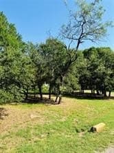 0.52 acres in Hill County - photo 8