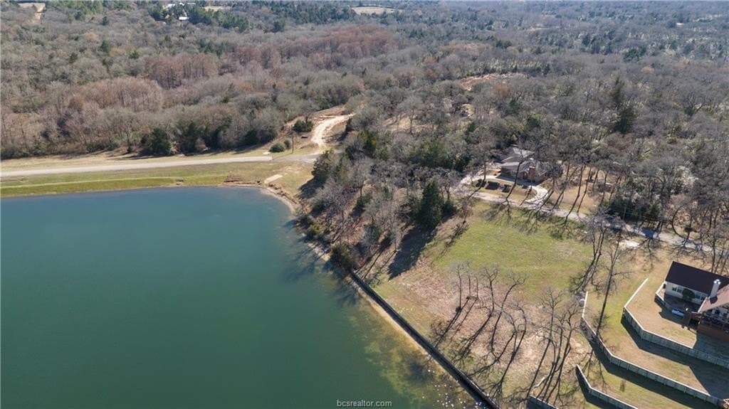 0.31 acres in Leon County gallery image 2
