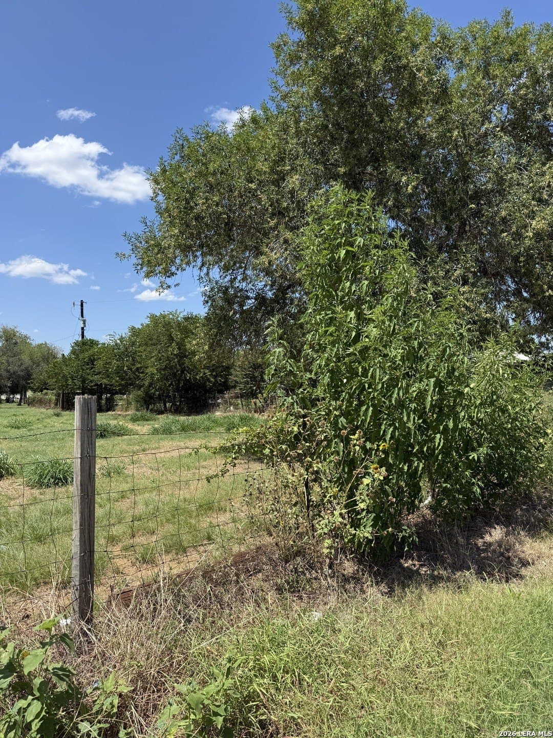 0.73 acres in Wilson County gallery image 3