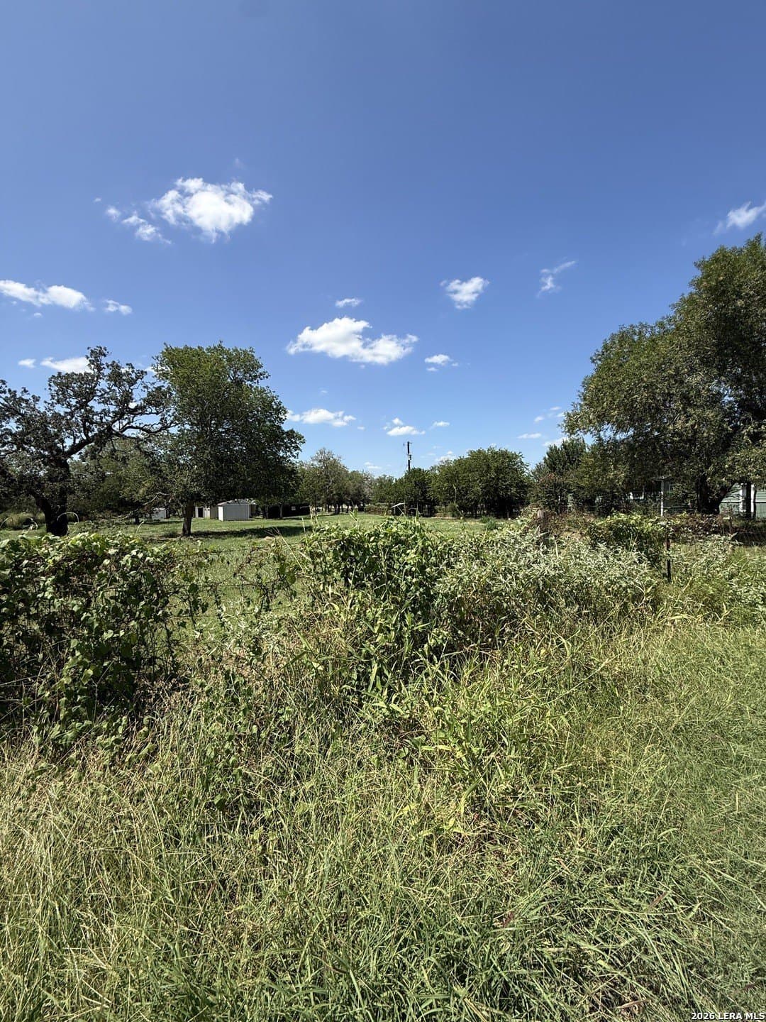 0.73 acres in Wilson County gallery image 2