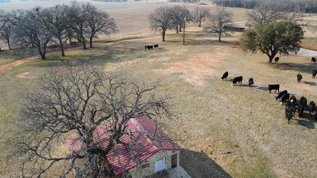 10.7 acres in Comanche County gallery image 4