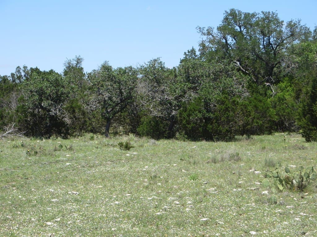 204 acres in Kimble County - photo 8