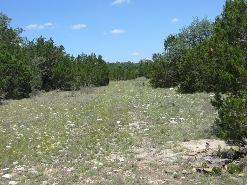 204 acres in Kimble County - photo 14