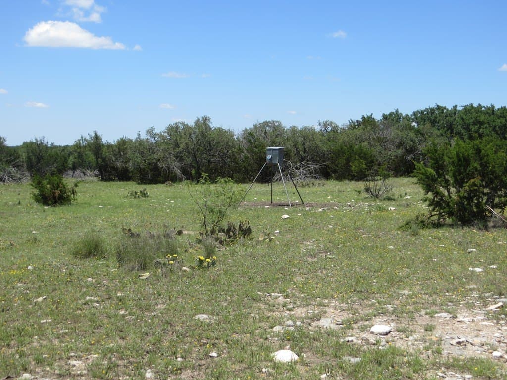 204 acres in Kimble County - photo 15