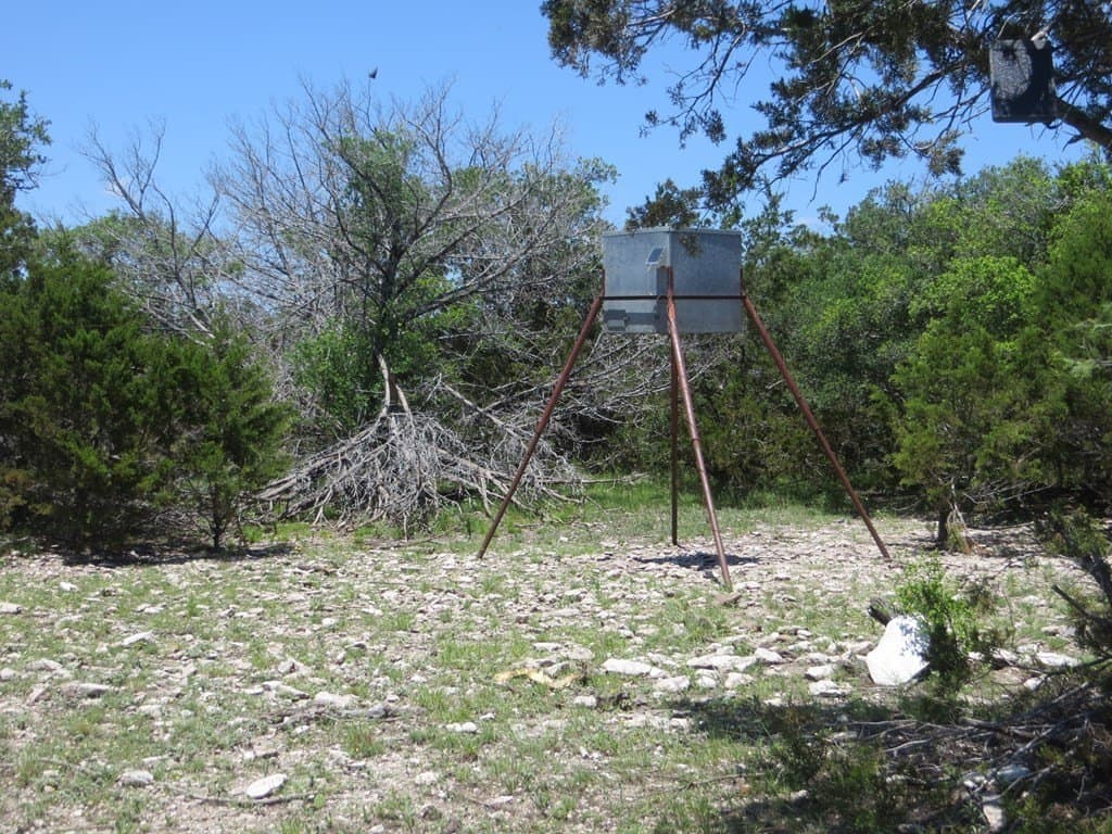 204 acres in Kimble County - photo 10