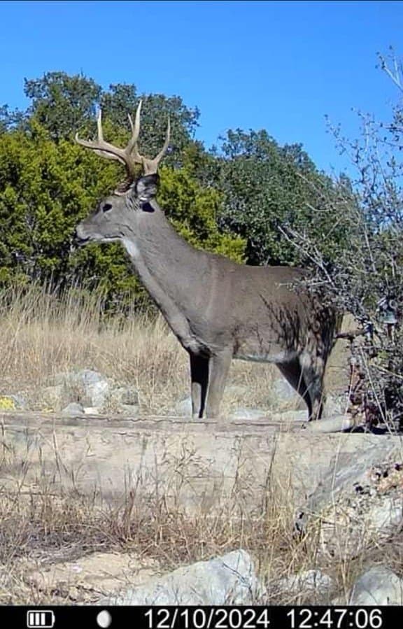 204 acres in Kimble County - photo 22