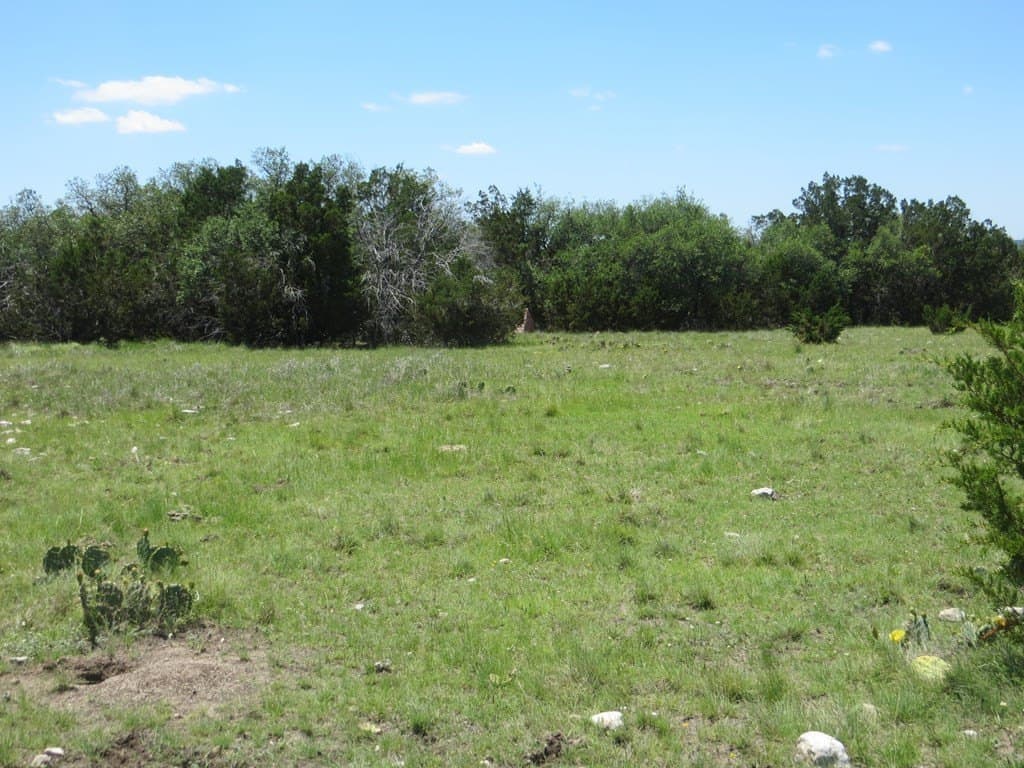 204 acres in Kimble County - photo 16
