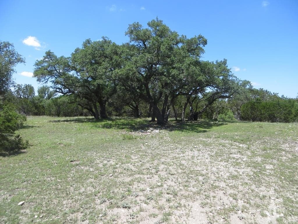 204 acres in Kimble County