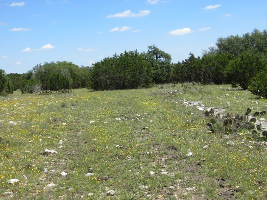 204 acres in Kimble County - photo 12