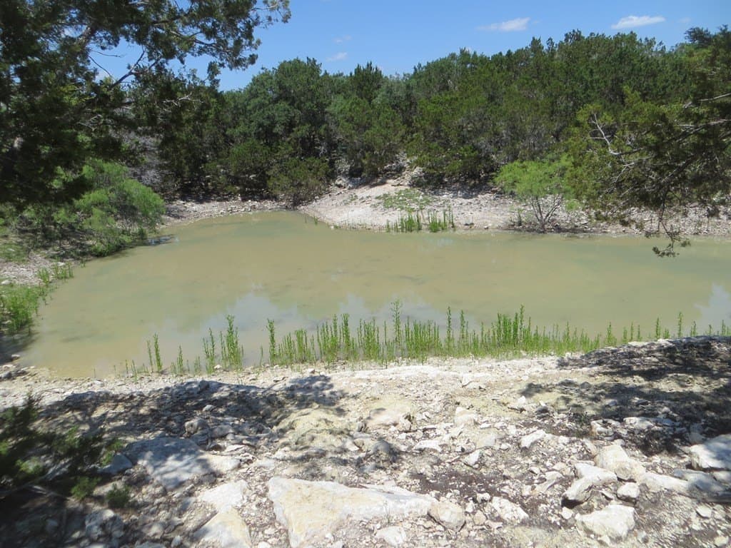 204 acres in Kimble County - photo 3