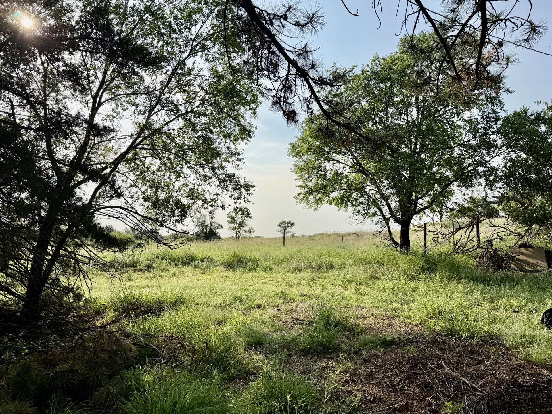 161 acres in Wheeler County - photo 12