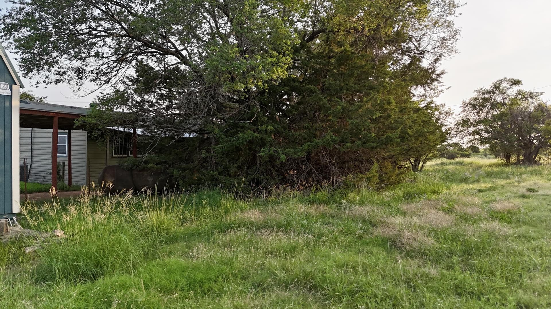 161 acres in Wheeler County - photo 50