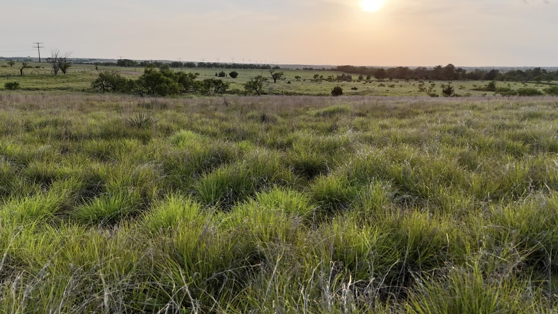 161 acres in Wheeler County - photo 10
