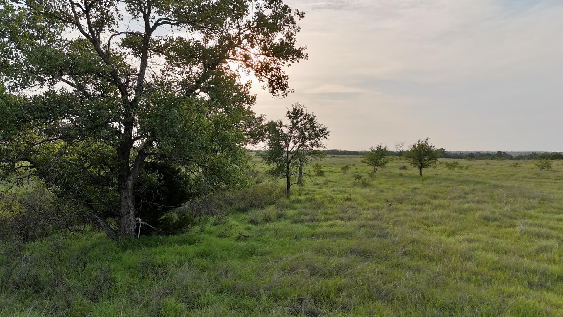 161 acres in Wheeler County - photo 17
