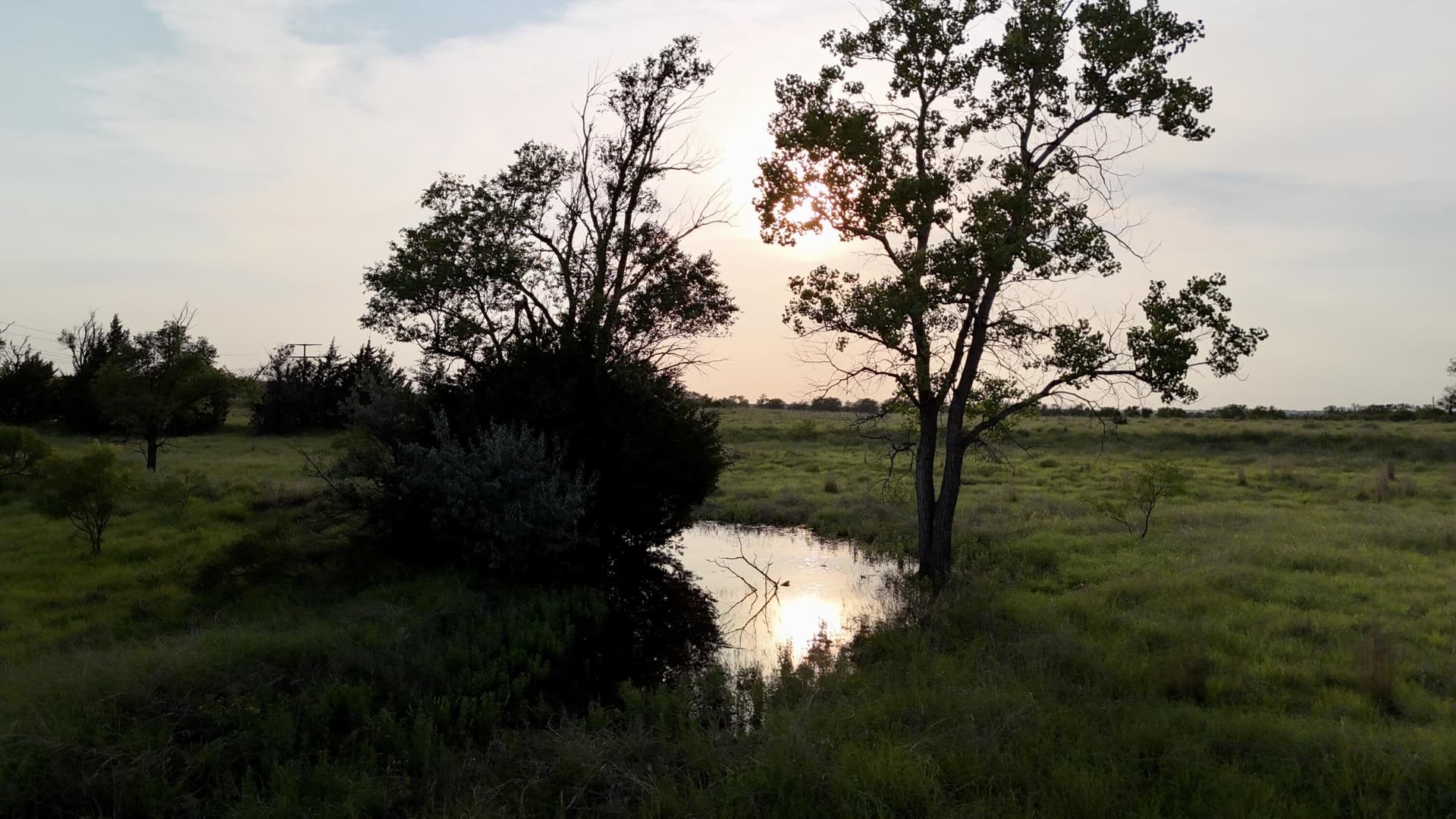 161 acres in Wheeler County - photo 39