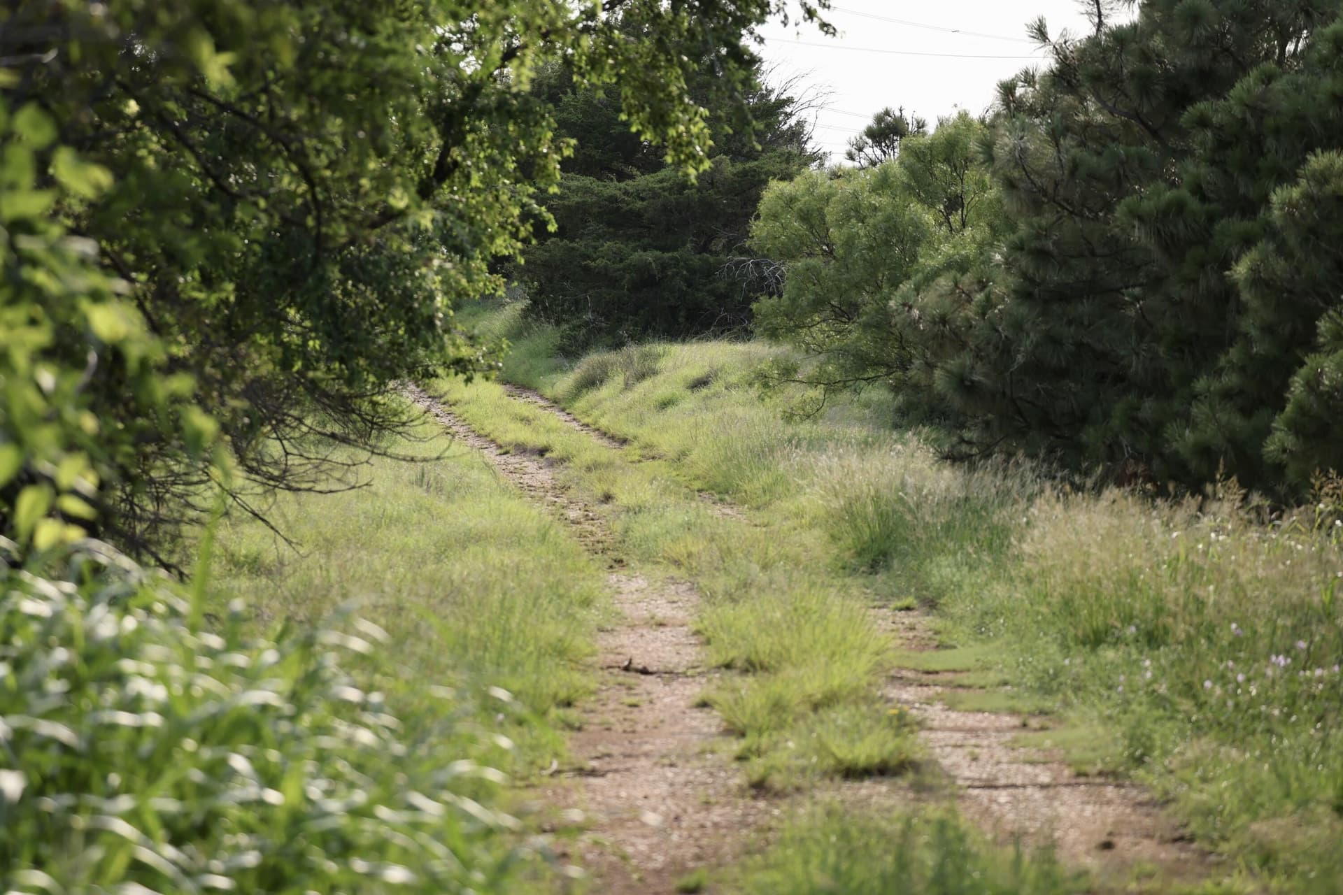 161 acres in Wheeler County - photo 23