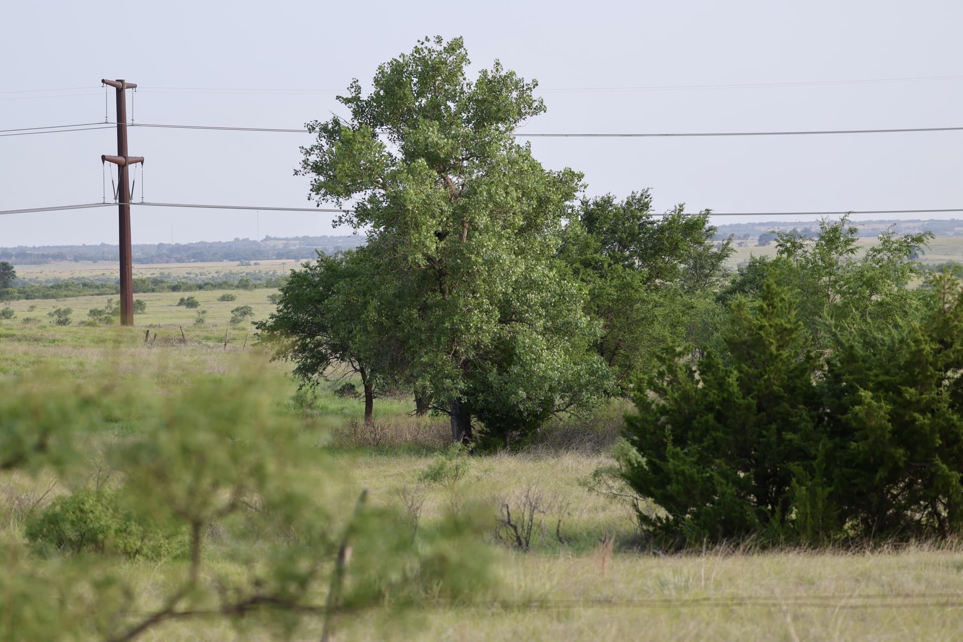 161 acres in Wheeler County - photo 37
