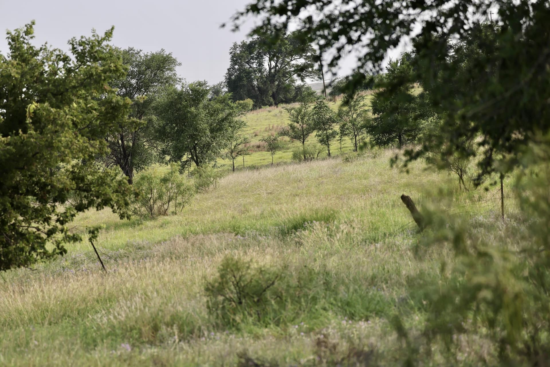161 acres in Wheeler County - photo 25