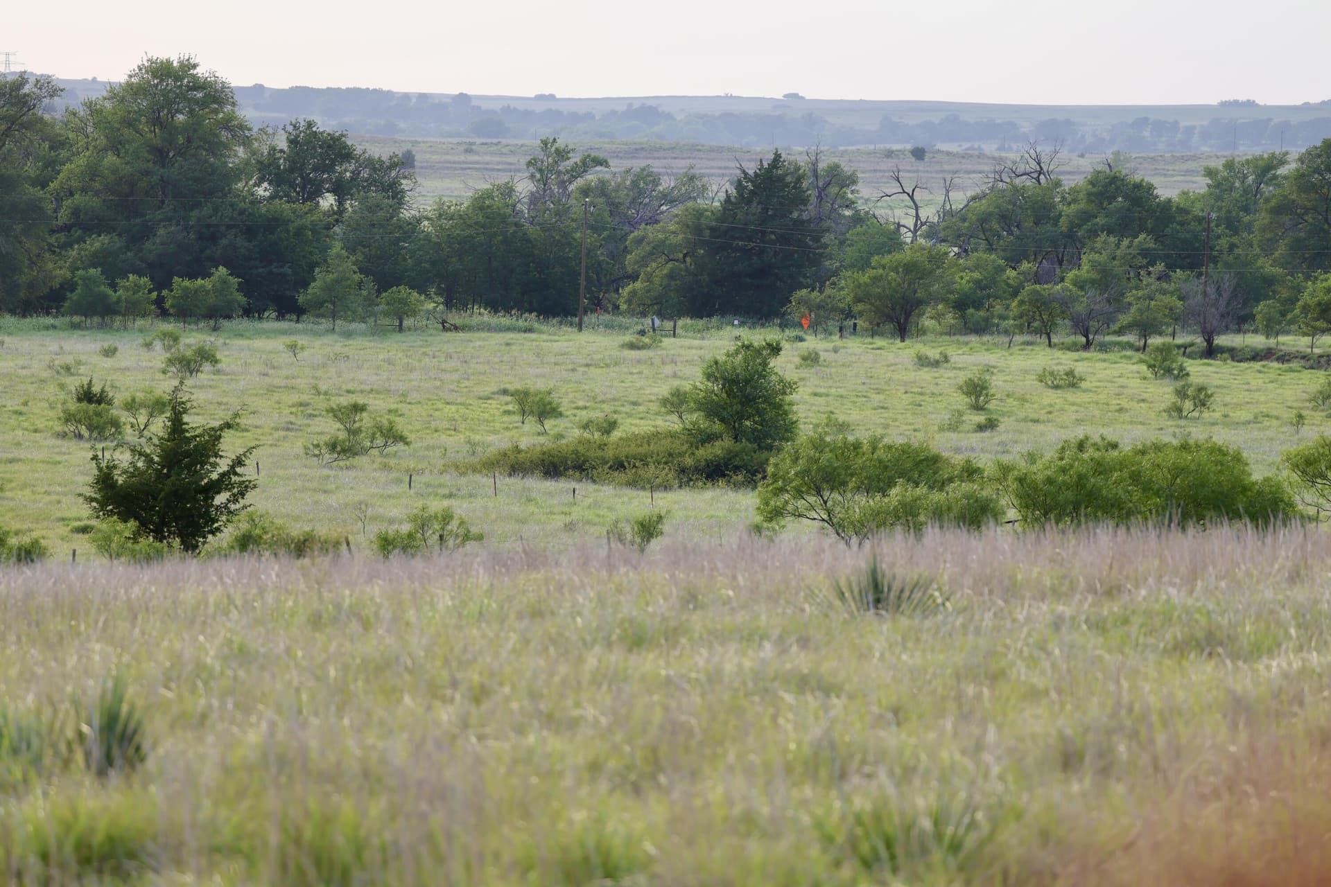 161 acres in Wheeler County - photo 44