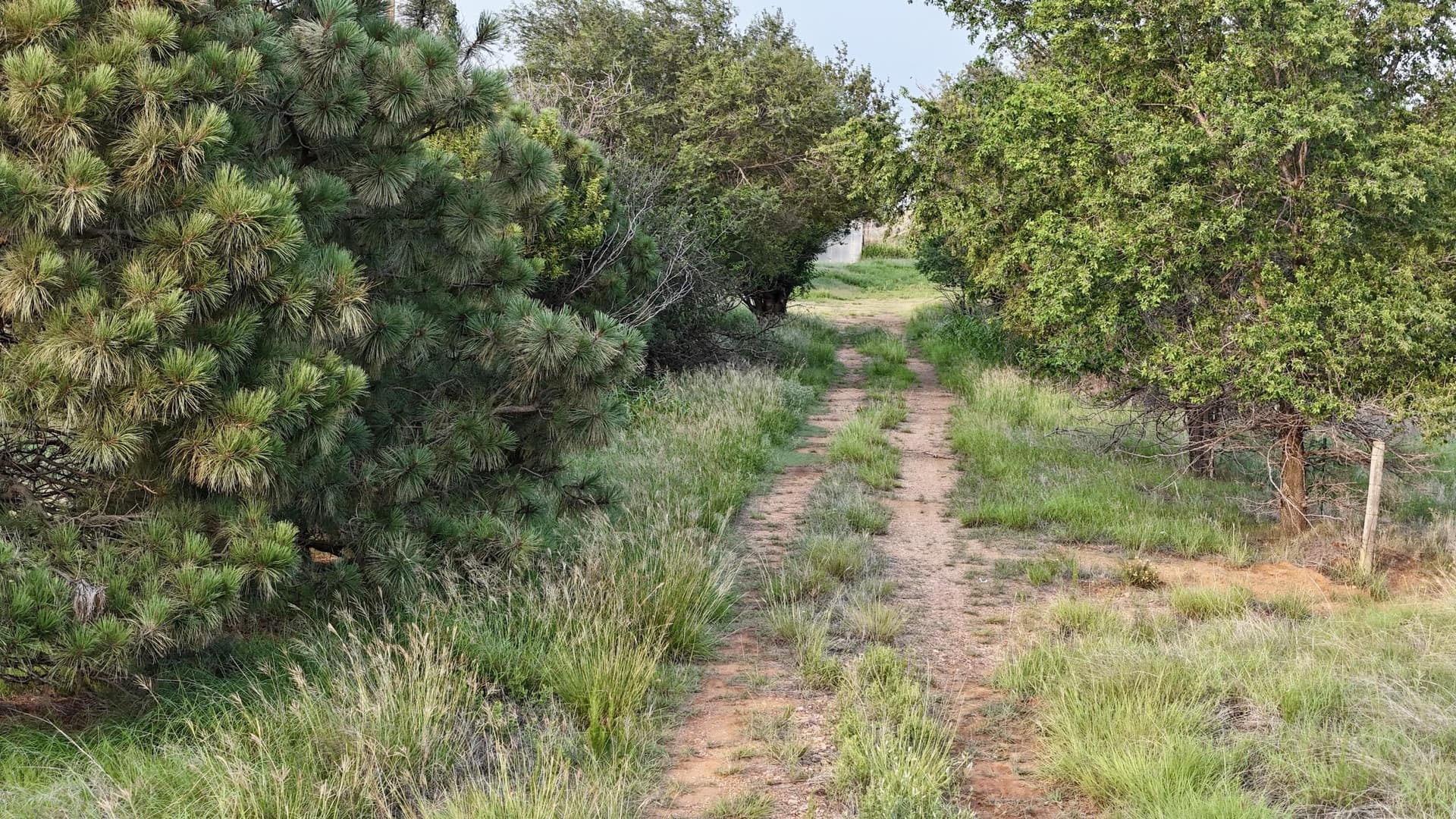 161 acres in Wheeler County - photo 35