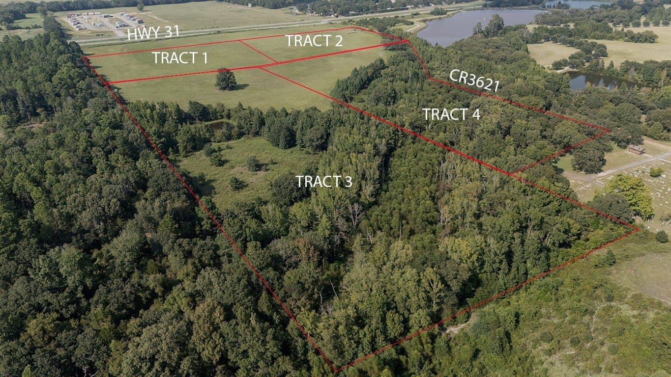 11.7 acres in Henderson County gallery image 2
