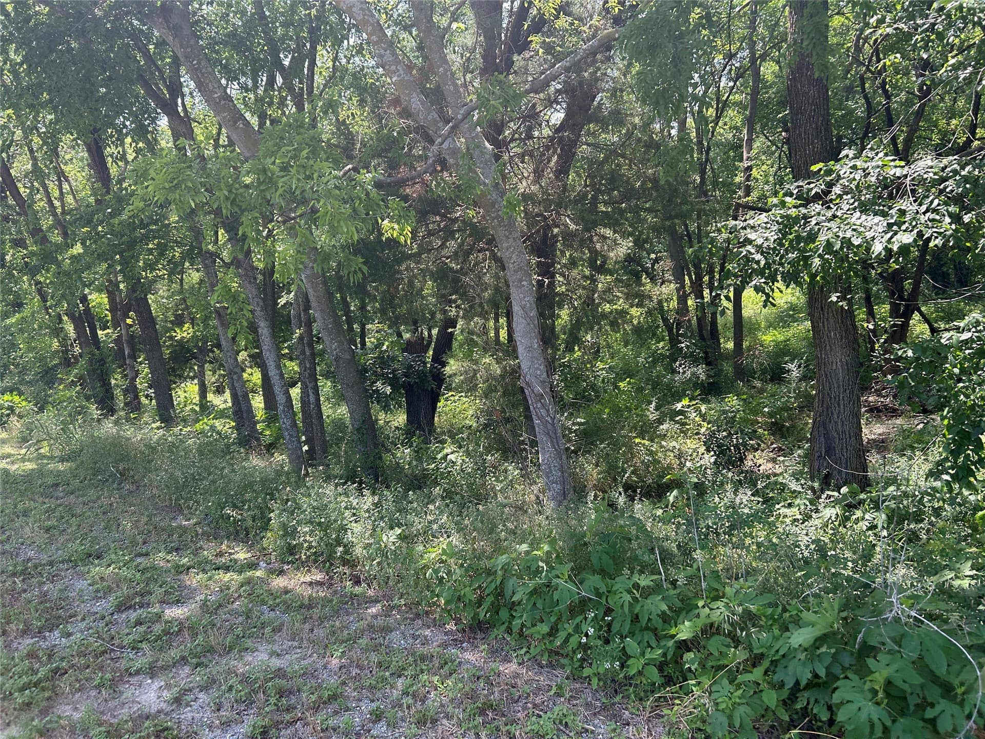 25.77 acres in Dallas County - photo 3