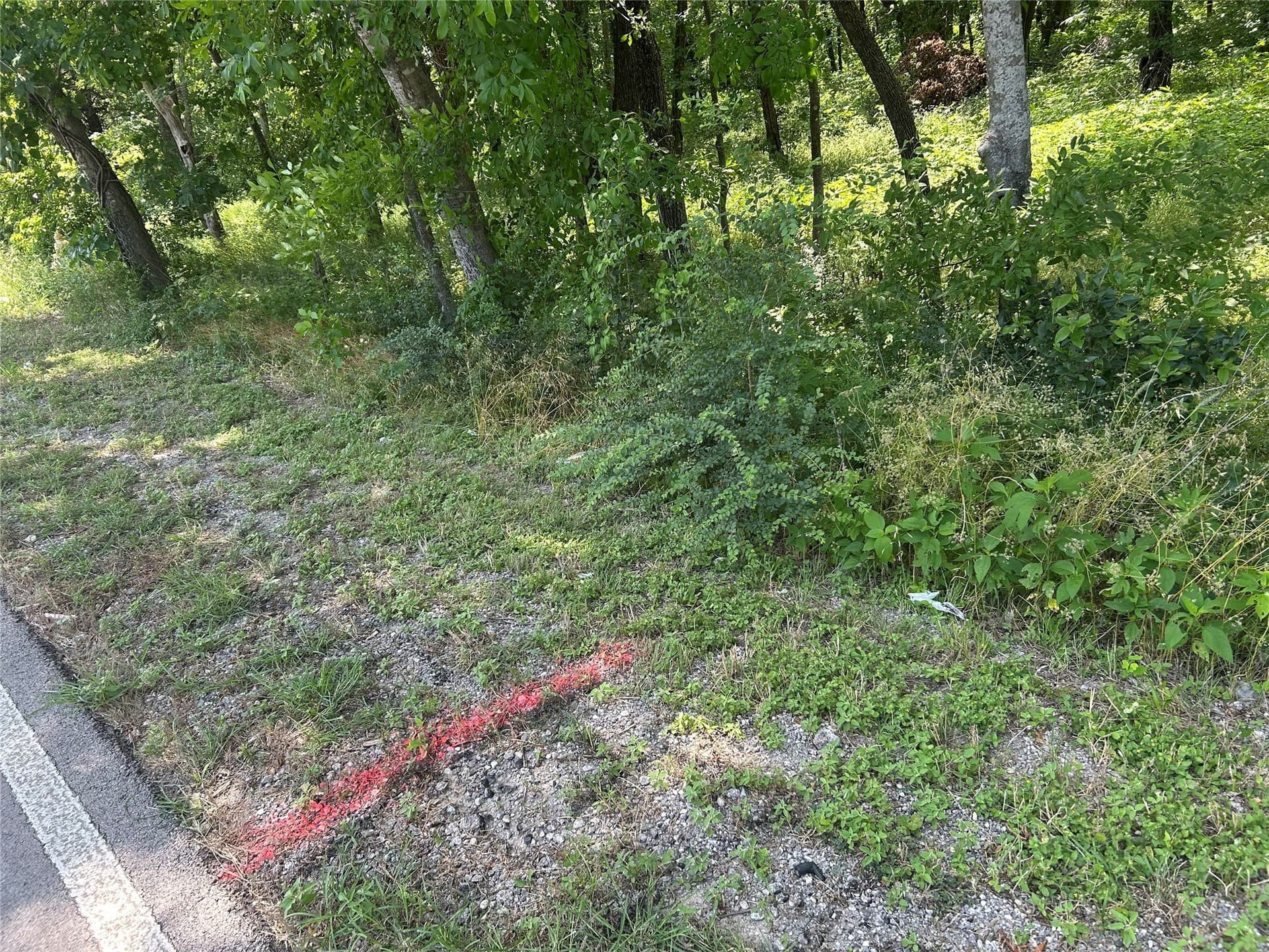 25.77 acres in Dallas County - photo 4