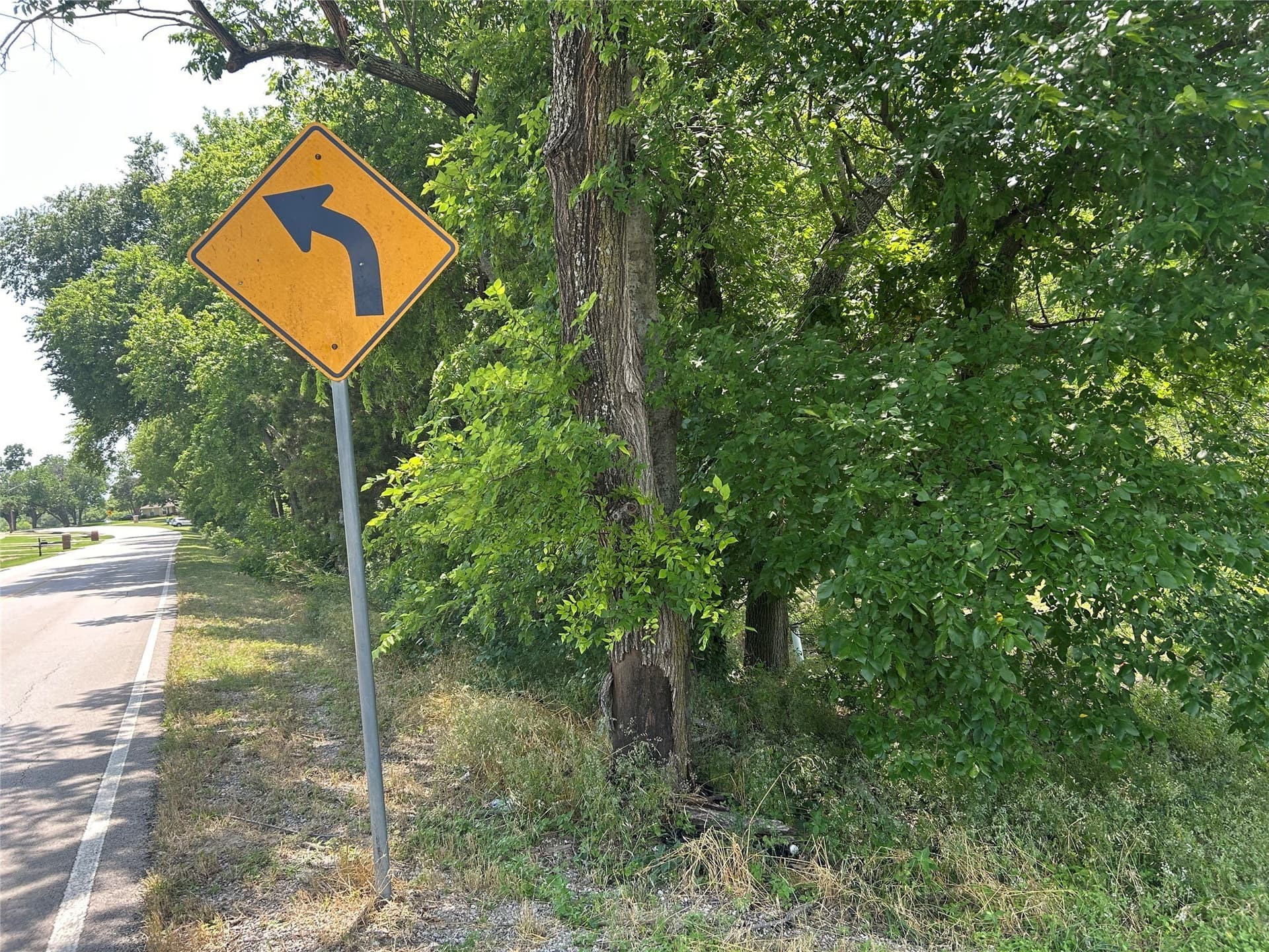 25.77 acres in Dallas County - photo 6