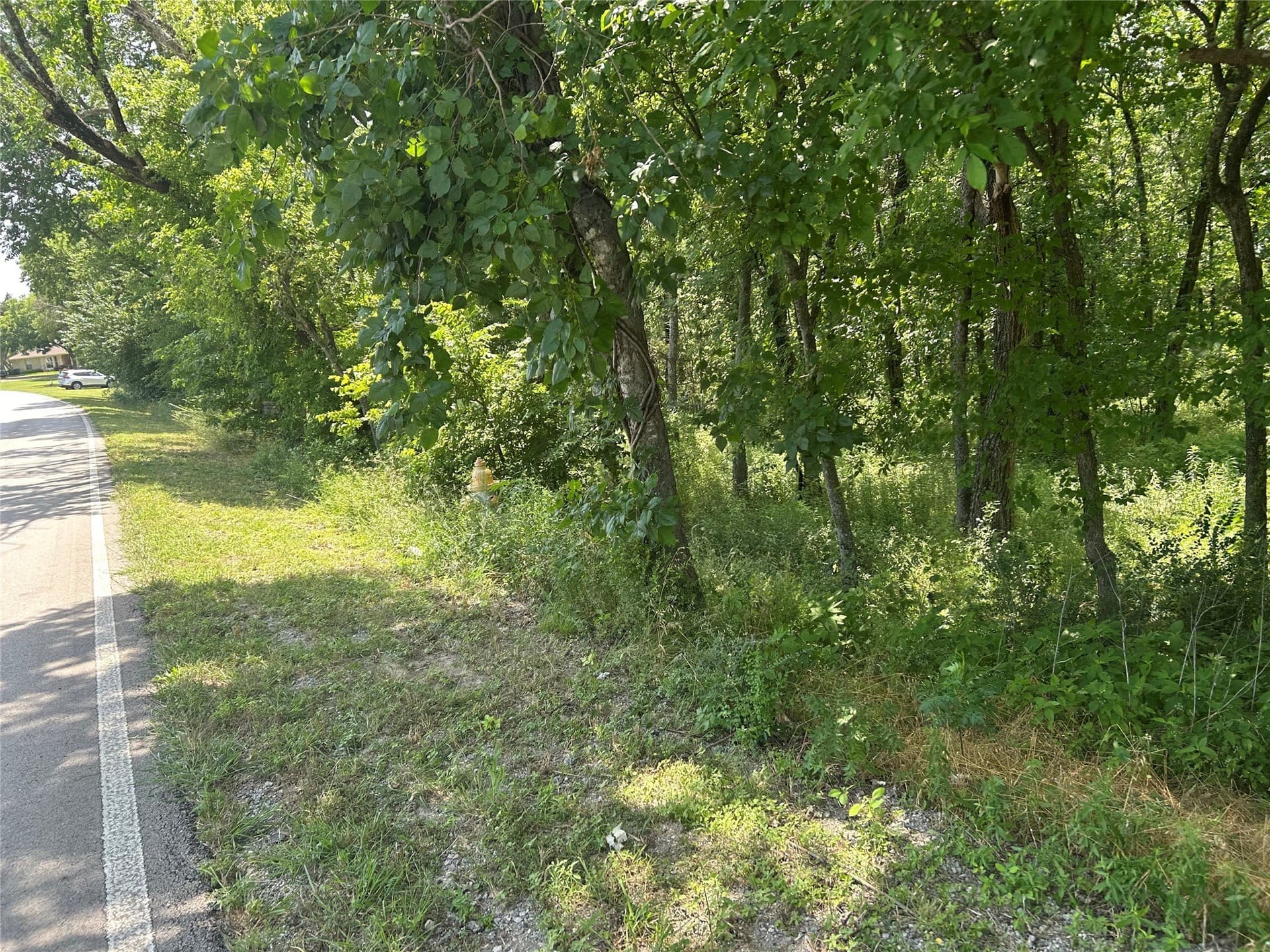 25.77 acres in Dallas County - photo 5