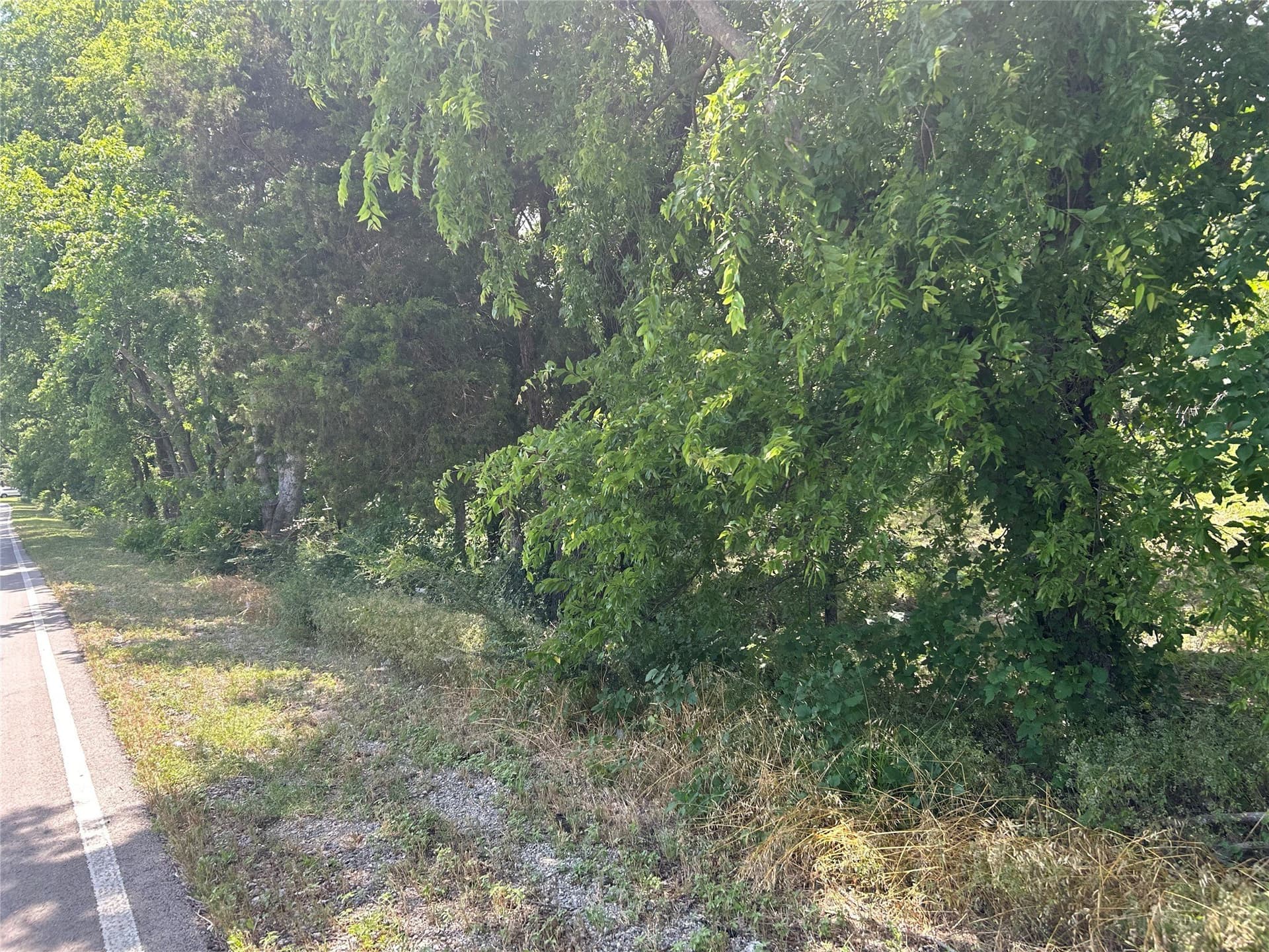 25.77 acres in Dallas County - photo 2