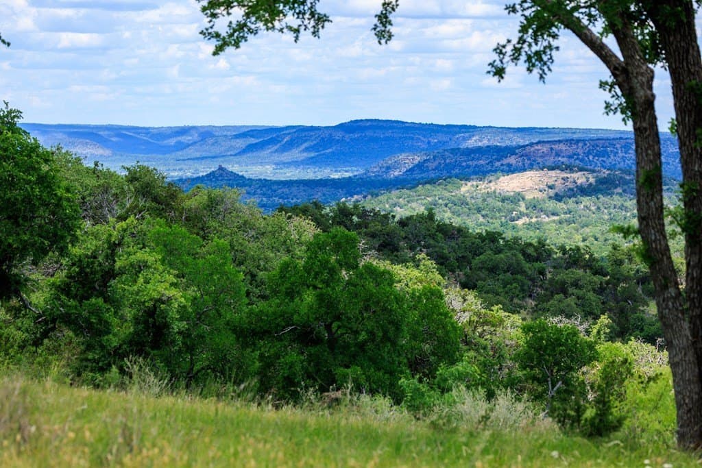 65.67 acres in Gillespie County gallery image 4