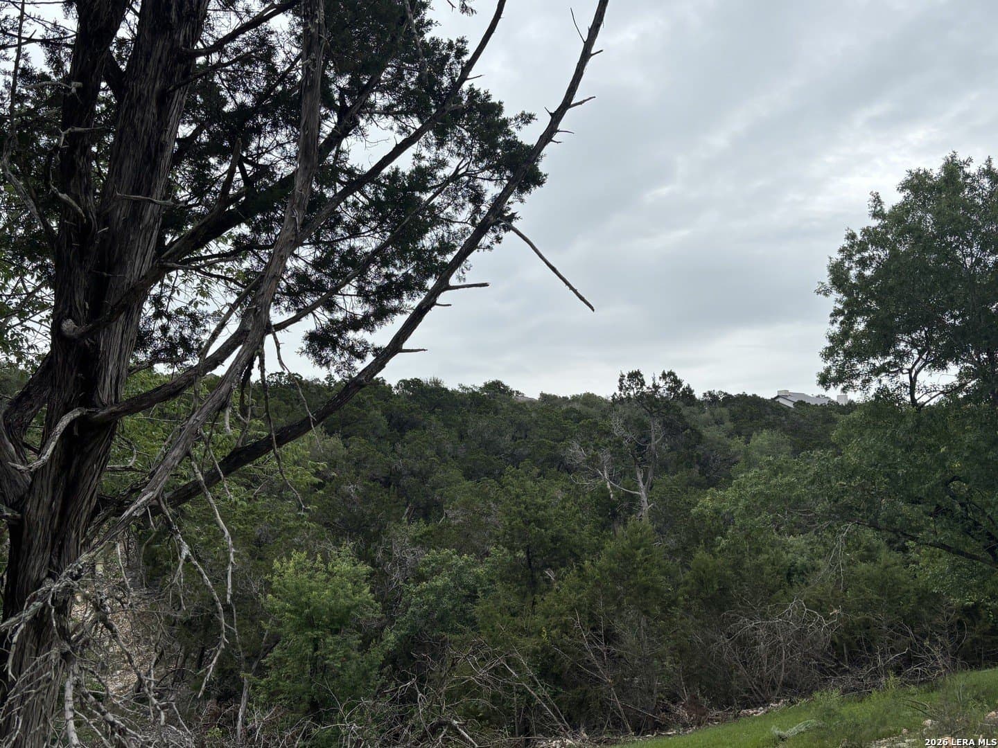 1.44 acres in Comal County - photo 6