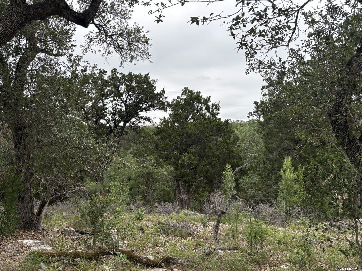 1.44 acres in Comal County featured view