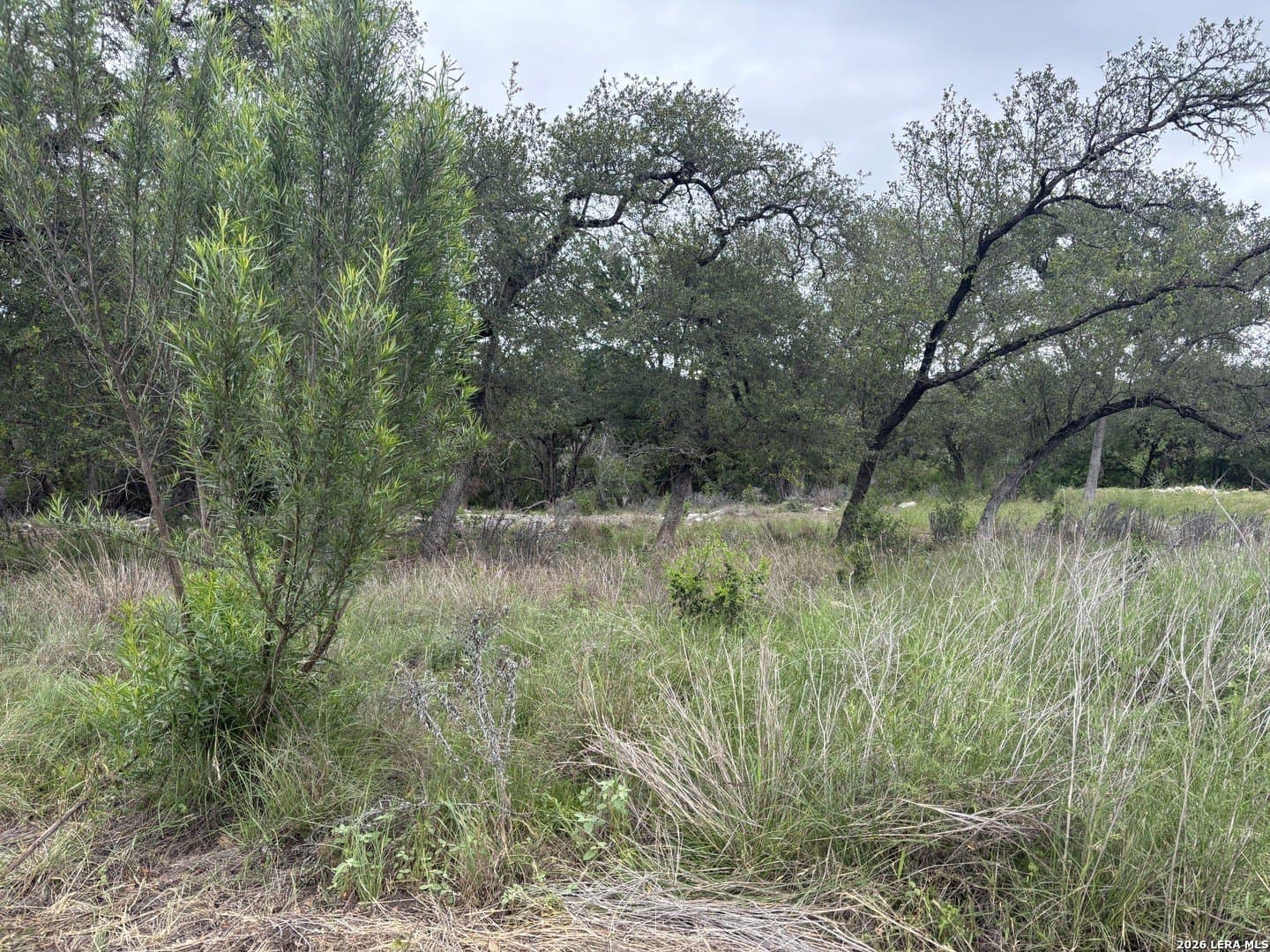 1.44 acres in Comal County gallery image 2