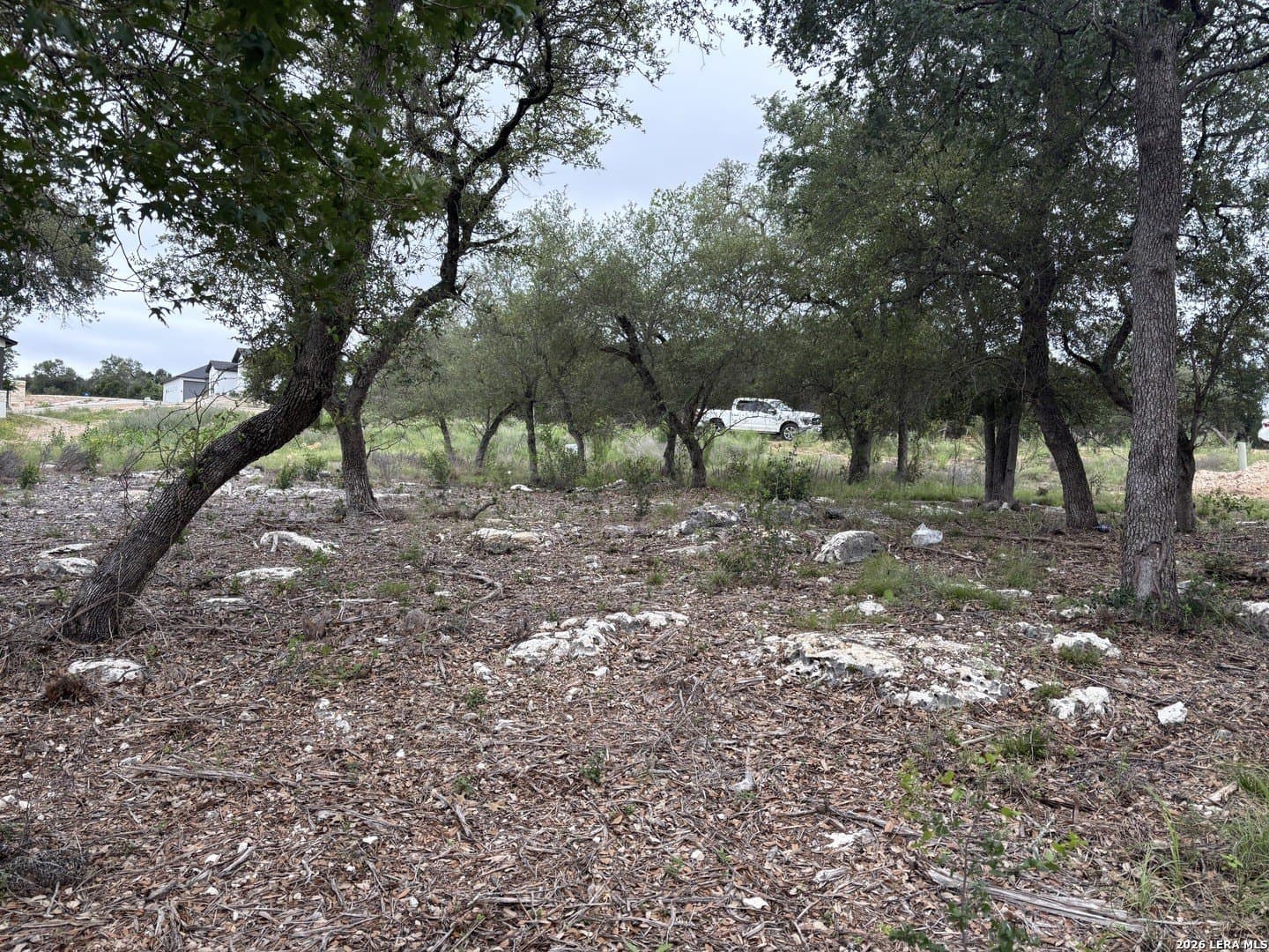 1.44 acres in Comal County gallery image 3